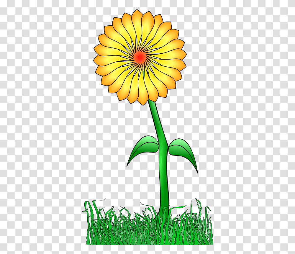 Yellow Flower Clip Art, Plant, Petal, Daisy, Green Transparent Png