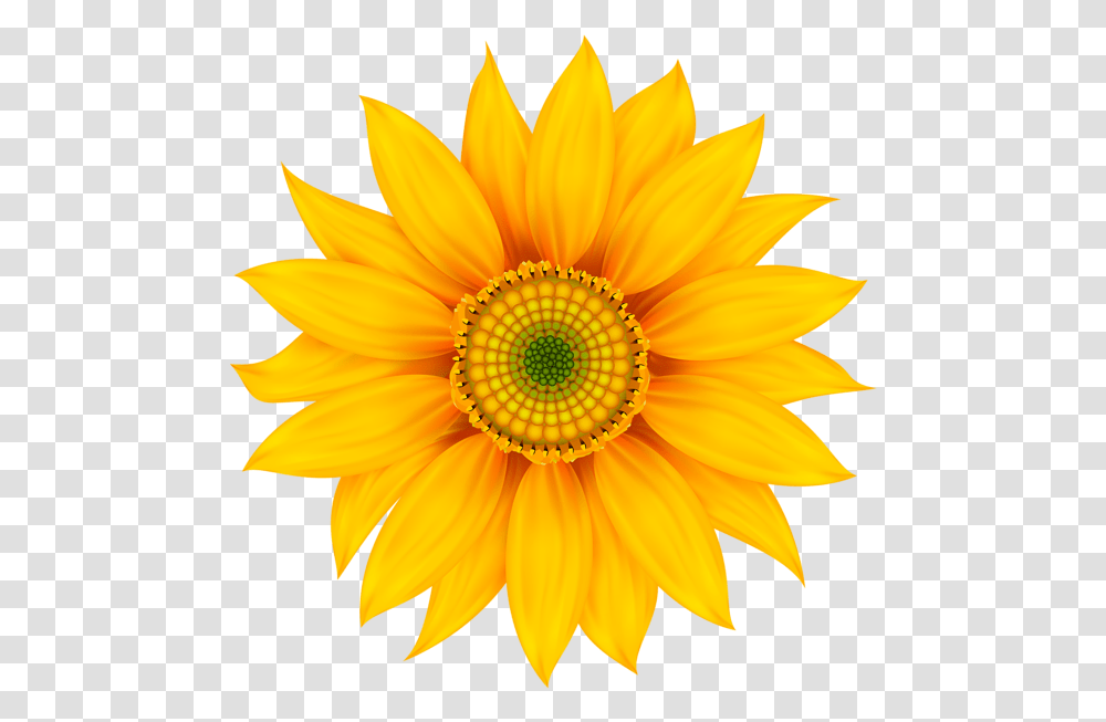 Yellow Flower Clip Art Sunflower Wall Stickers, Plant, Blossom, Treasure Flower, Daisy Transparent Png