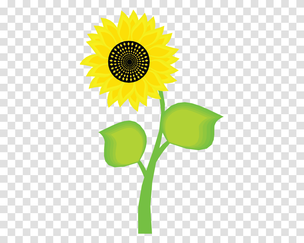 Yellow Flower Clipart Bunga Matahari, Plant, Sunflower, Blossom, Daisy Transparent Png