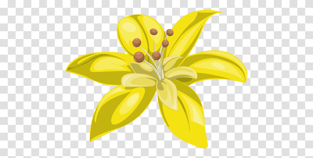 Yellow Flower Clipart Flower Clipart Yellow, Plant, Lily, Blossom, Anther Transparent Png