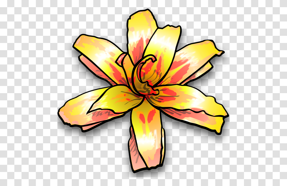 Yellow Flower Clipart Flower Drawing, Plant, Blossom, Petal Transparent Png