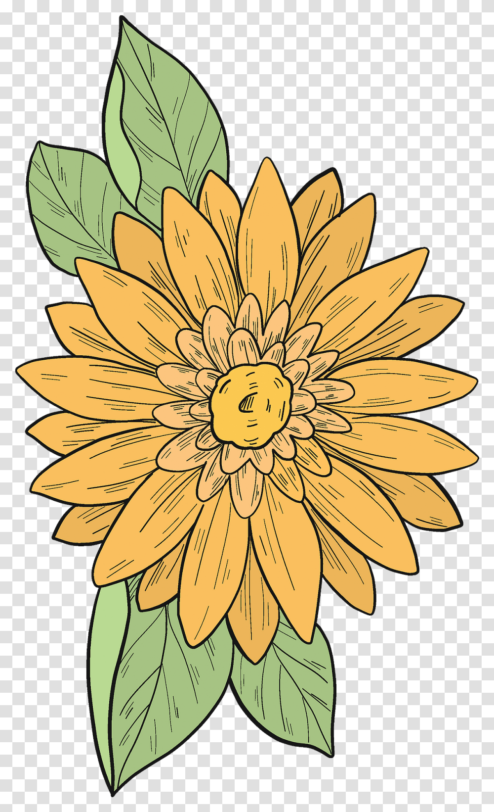 Yellow Flower Clipart Free Download African Daisy, Plant, Pattern, Blossom, Dahlia Transparent Png