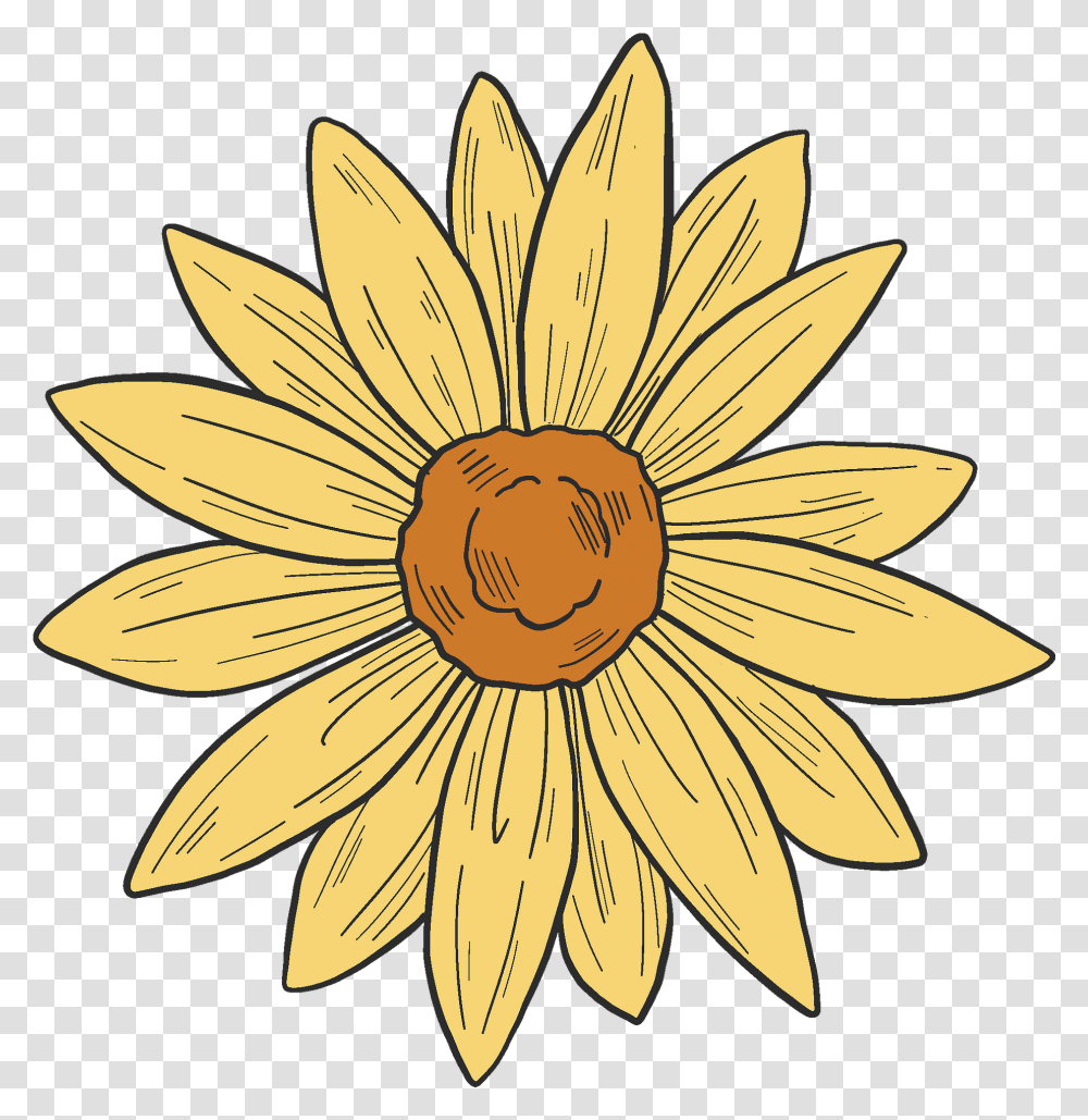 Yellow Flower Clipart Free Download Sunflower, Plant, Blossom, Treasure Flower, Daisy Transparent Png