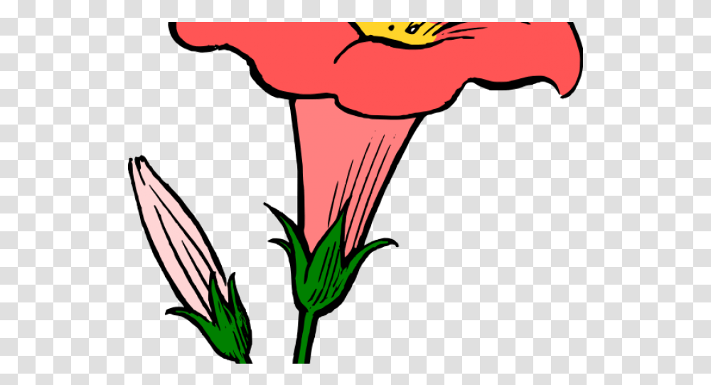 Yellow Flower Clipart Genda Flower Line Art Download Easy Kaner Flower Drawing, Plant, Blossom, Bird, Animal Transparent Png
