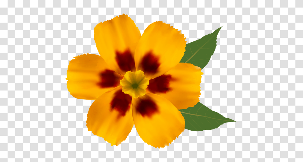 Yellow Flower Clipart, Plant, Blossom, Petal, Pollen Transparent Png