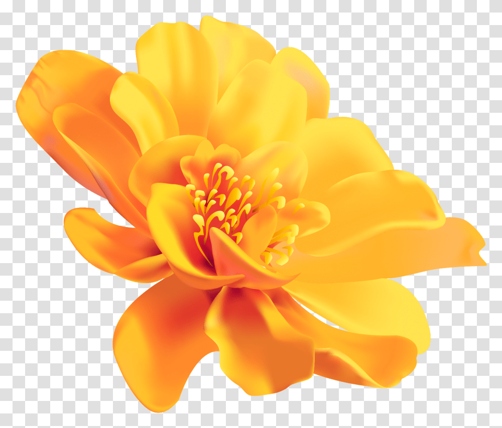 Yellow Flower Color Image Portable Network Graphics Yellow Flower Background, Plant, Petal, Blossom, Anther Transparent Png