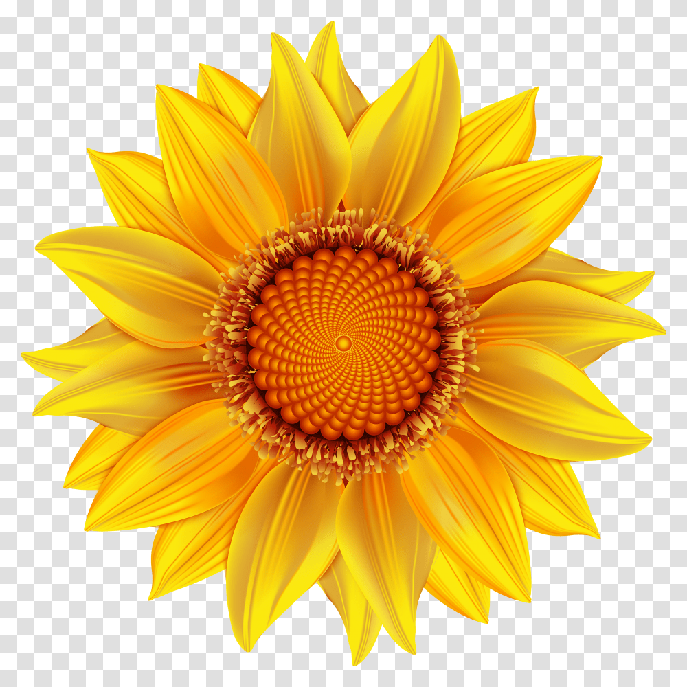Yellow Flower Crown Illustrator Sun Flower Vector Transparent Png