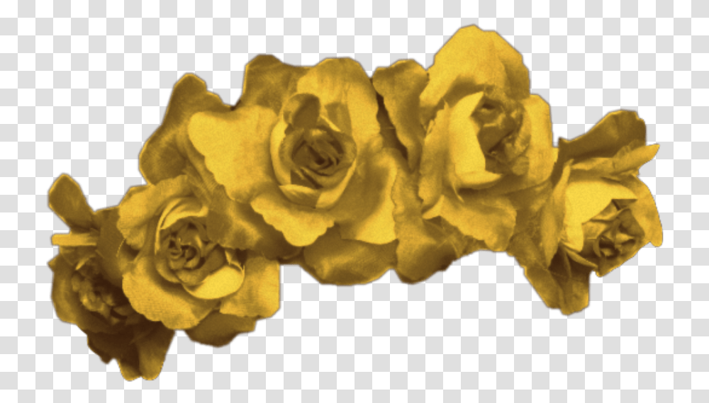 Yellow Flower Crown Rose Flowers Roses Aesthetic Aesthetic Purple Flower Crown, Plant, Blossom Transparent Png