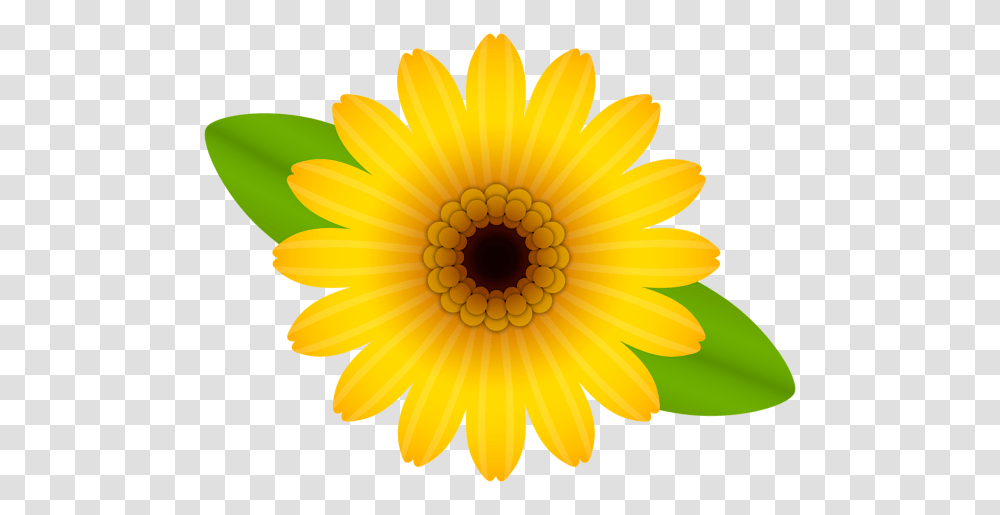 Yellow Flower Decorative, Plant, Blossom, Daisy, Daisies Transparent Png