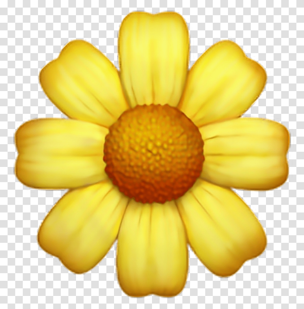 Yellow Flower Emoji, Plant, Blossom, Daisy, Daisies Transparent Png