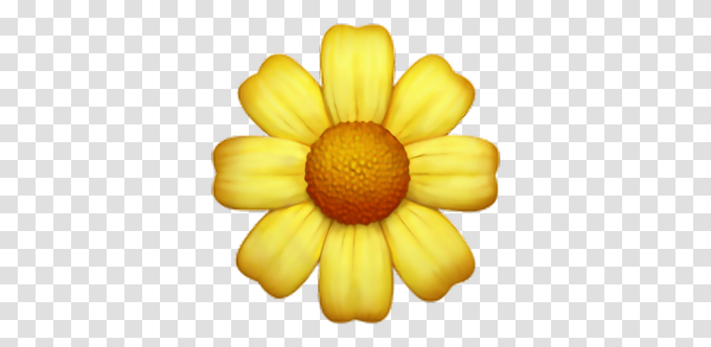 Yellow Flower Emoji Yellow Flower Emoji, Plant, Blossom, Banana, Fruit Transparent Png