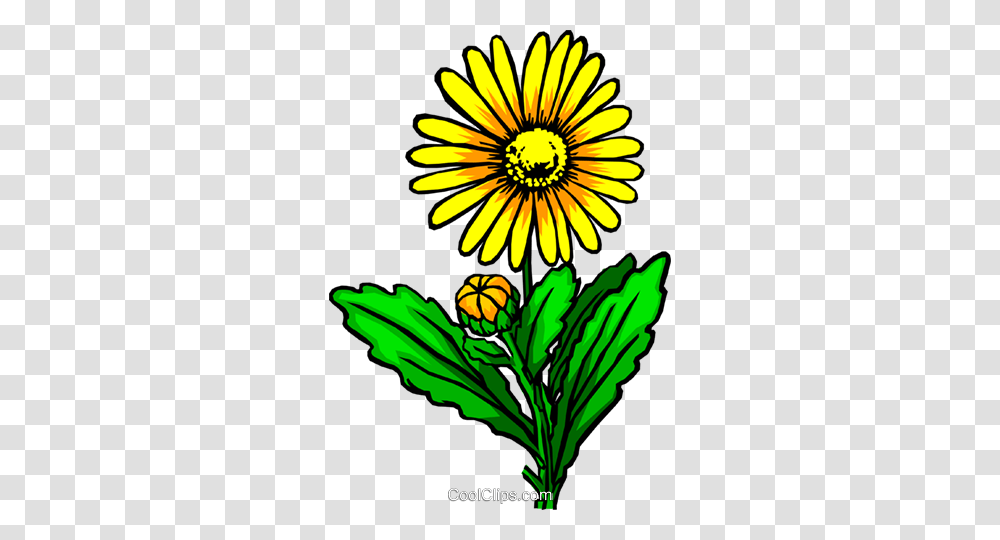 Yellow Flower Royalty Free Vector Clip Art Illustration, Plant, Floral Design, Pattern Transparent Png