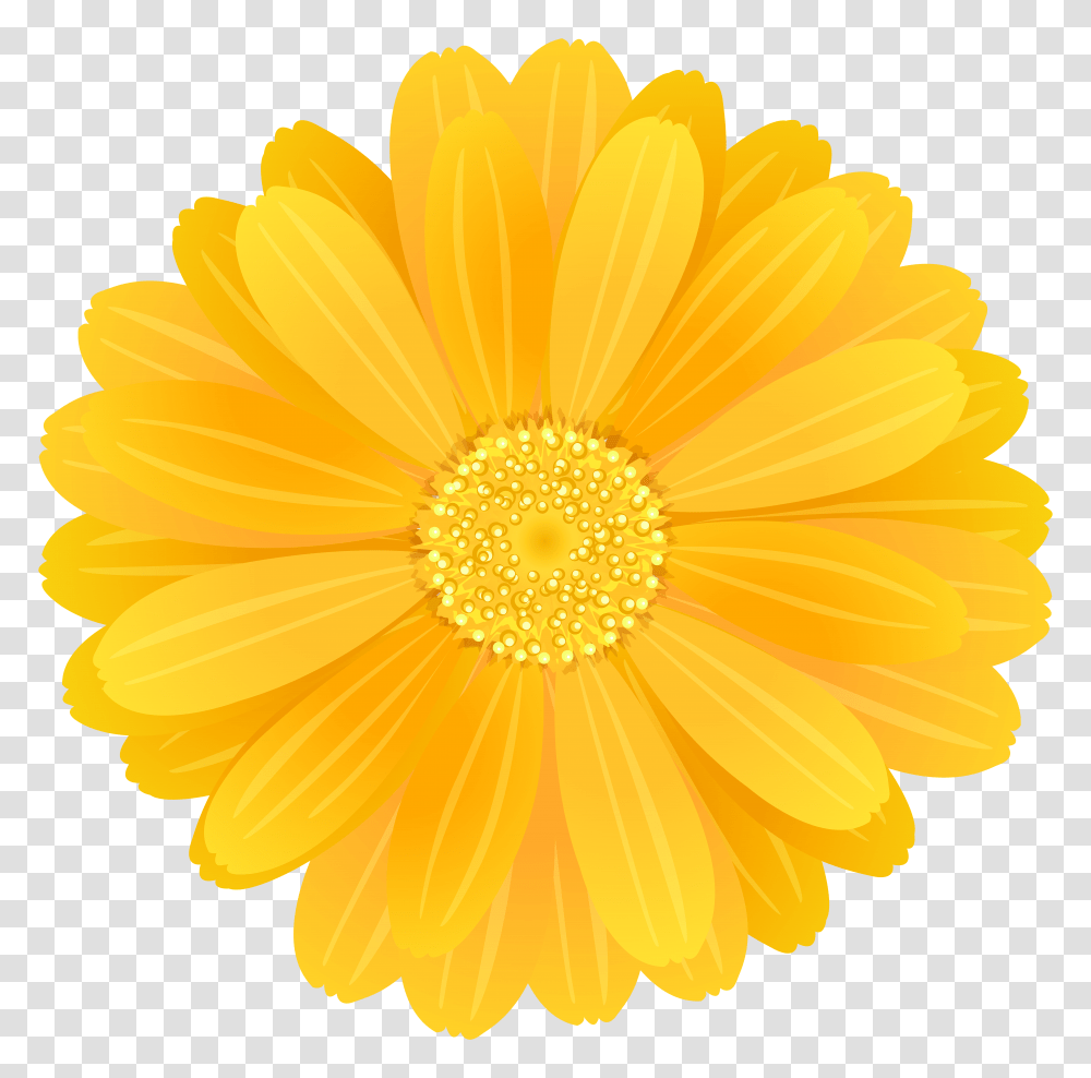 Yellow Flower Transparent Png