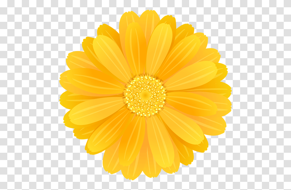 Yellow Flower Yellow Flower Background, Plant, Blossom, Daisy, Daisies Transparent Png