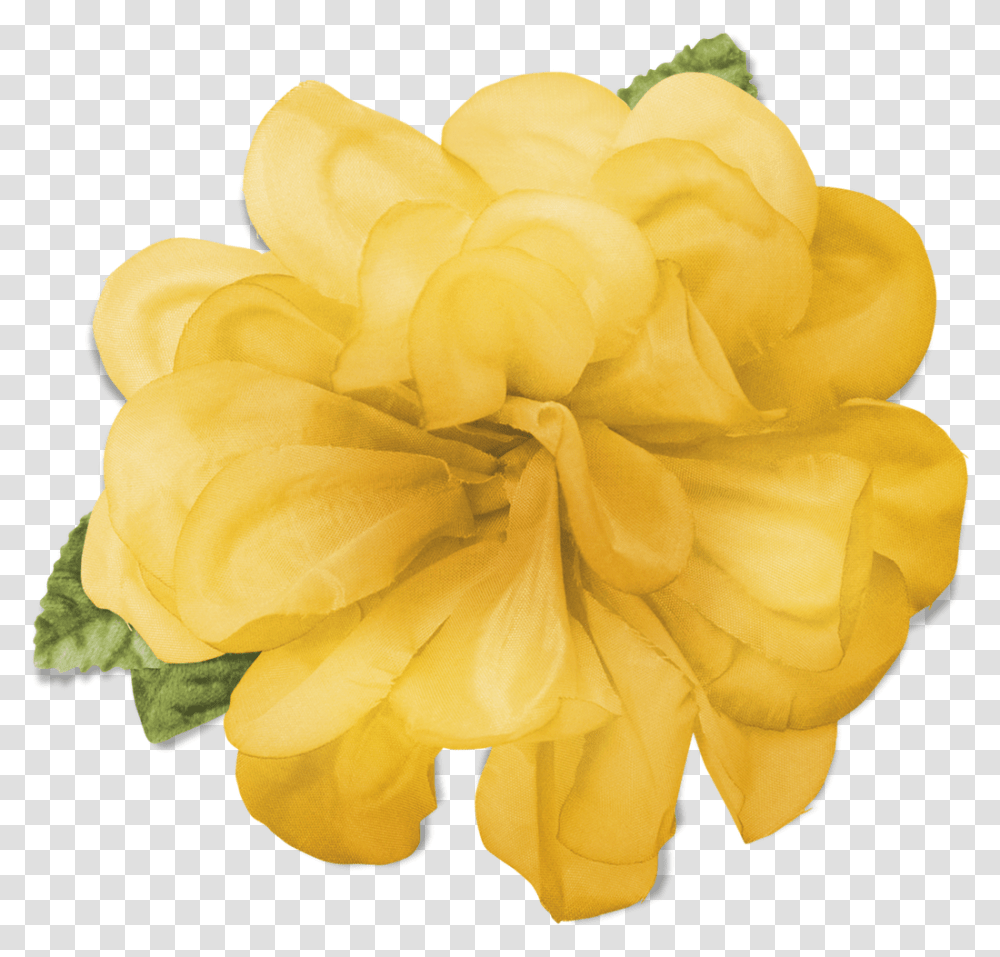 Yellow Flower Yellow Flower Crown, Rose, Plant, Blossom, Petal Transparent Png