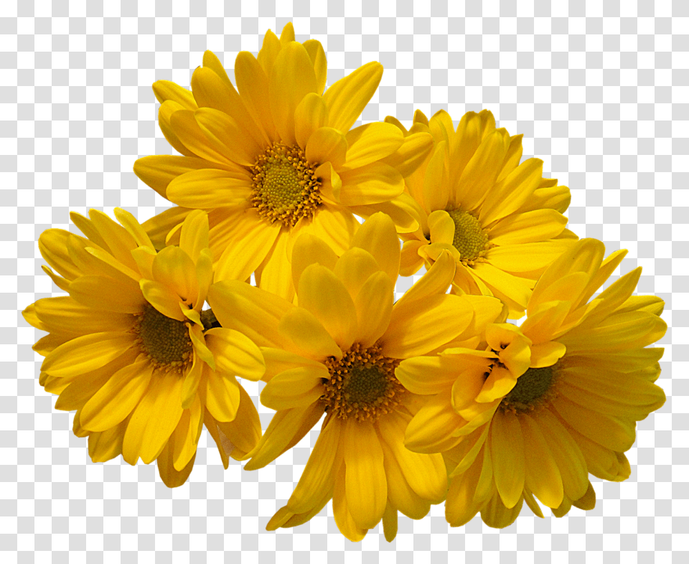 Yellow Flowers Bouquet Image Yellow Aesthetic Flower, Plant, Blossom, Daisy, Daisies Transparent Png