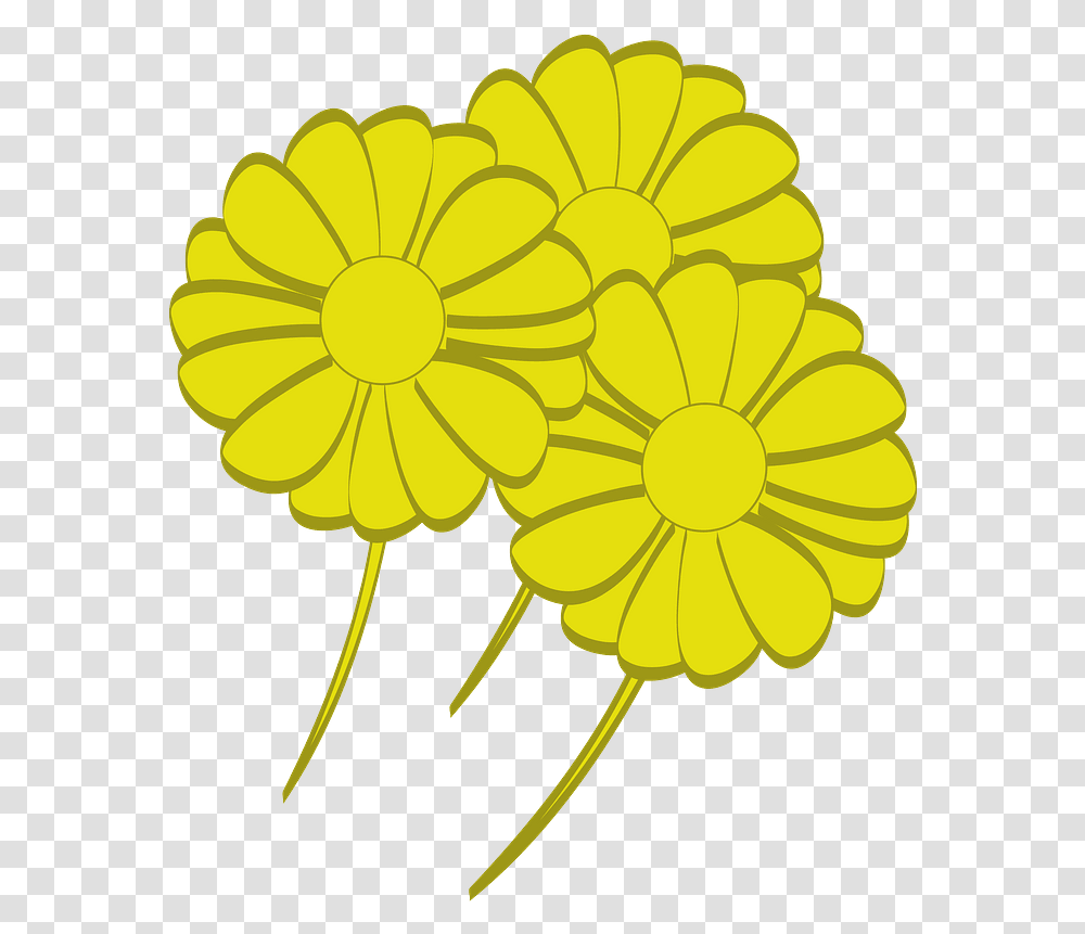 Yellow Flowers Clipart Flower, Plant, Blossom, Daisy, Daisies Transparent Png