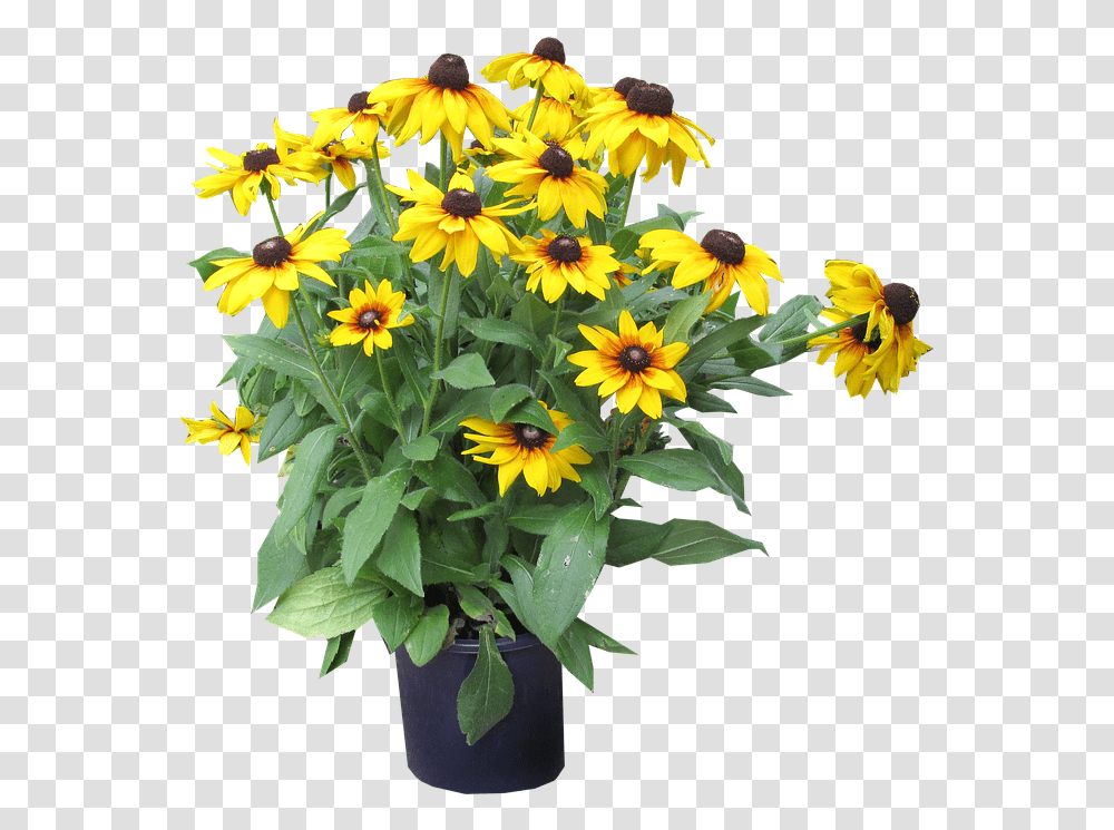 Yellow Flowers Cut Out Sunflower, Plant, Blossom, Flower Arrangement, Daisy Transparent Png