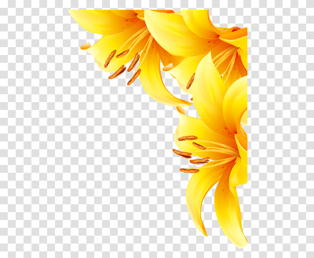 Yellow Flowers Download Sunflower, Plant, Banana, Fruit, Food Transparent Png