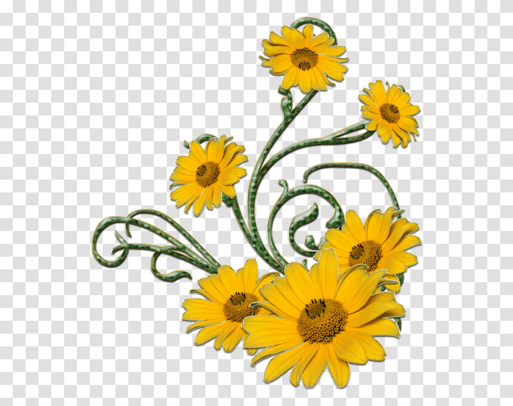 Yellow Flowers Esfiro Cat Green And Yellow Flowers, Plant, Blossom, Daisy, Daisies Transparent Png