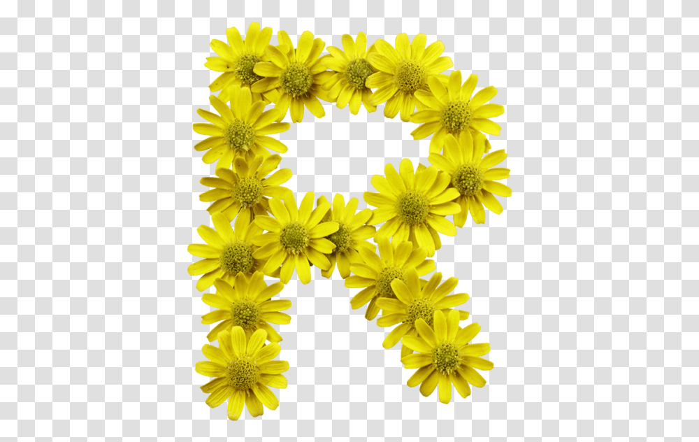 Yellow Flowers Font Letter I Flower, Plant, Blossom, Daisy, Daisies Transparent Png