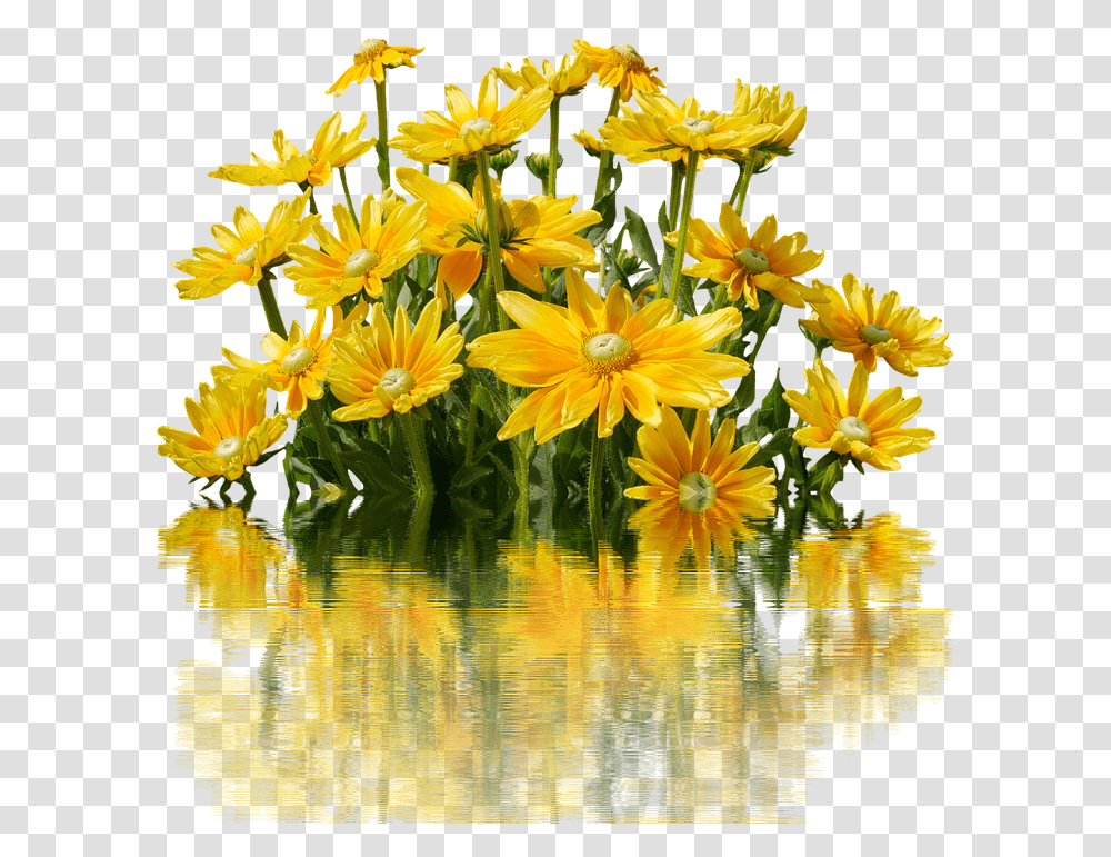 Yellow Flowers Nature Flowers Bunch, Plant, Daisy, Treasure Flower, Flower Arrangement Transparent Png