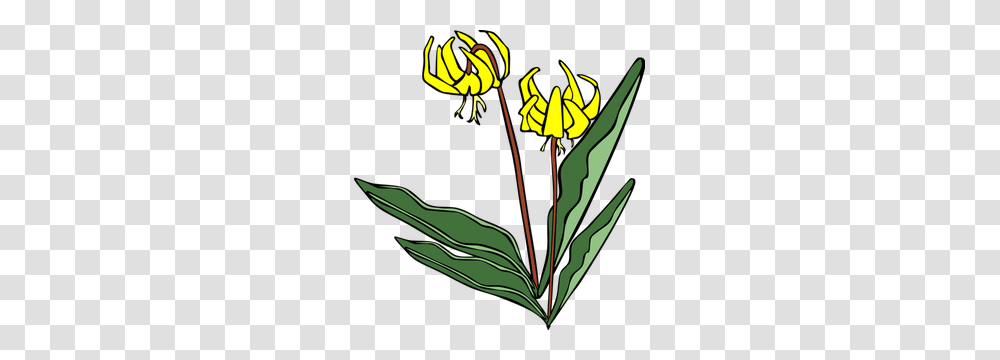 Yellow Free Clipart, Plant, Flower, Petal, Daisy Transparent Png