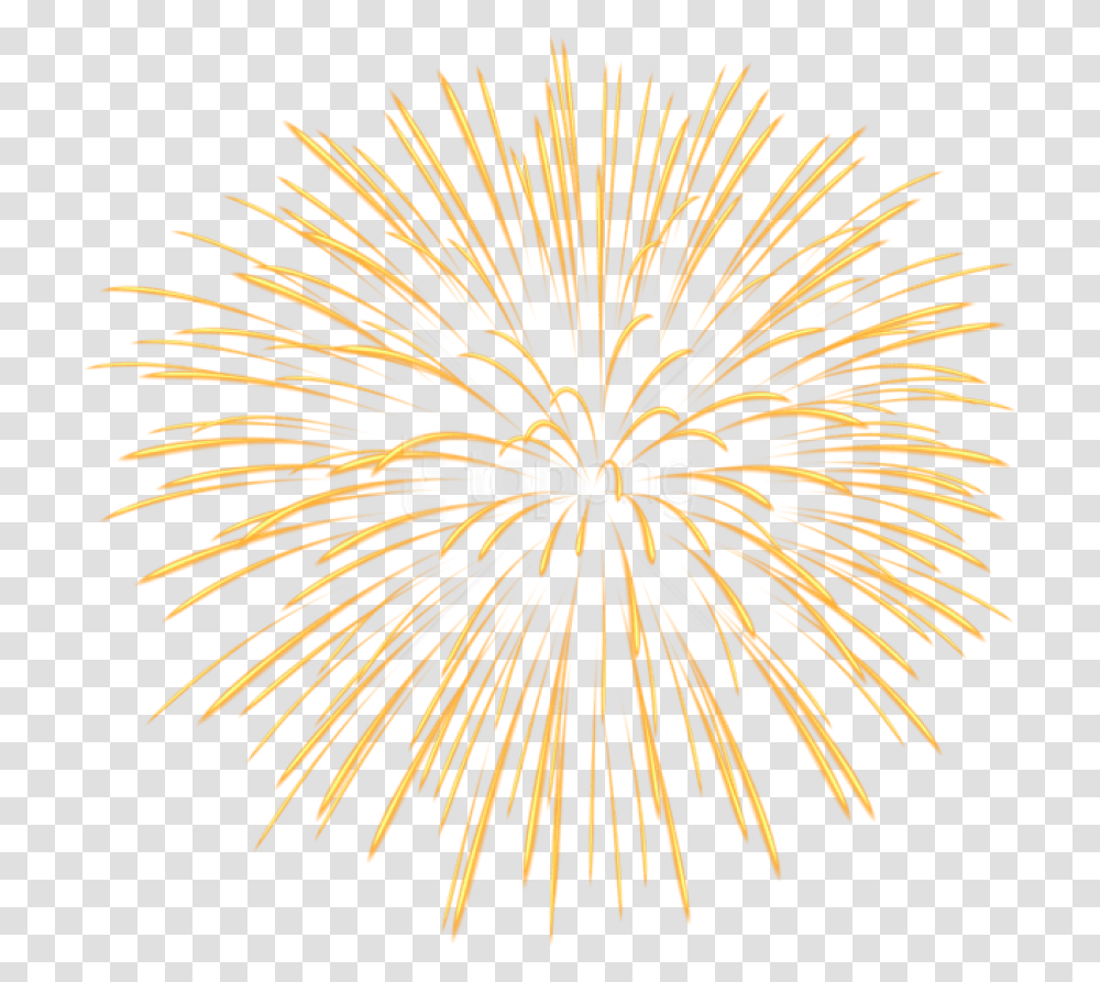 Yellow Free Images Toppng Firework Background, Plant, Nature, Flower, Blossom Transparent Png
