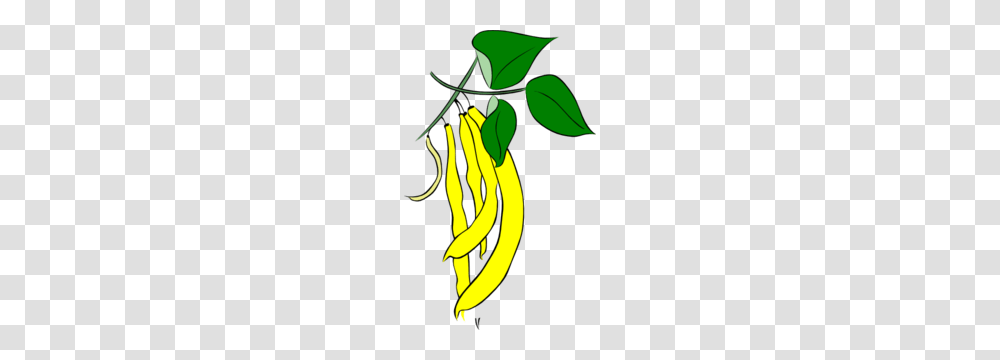 Yellow French Bean Clip Art, Plant, Peel, Sprout, Flower Transparent Png
