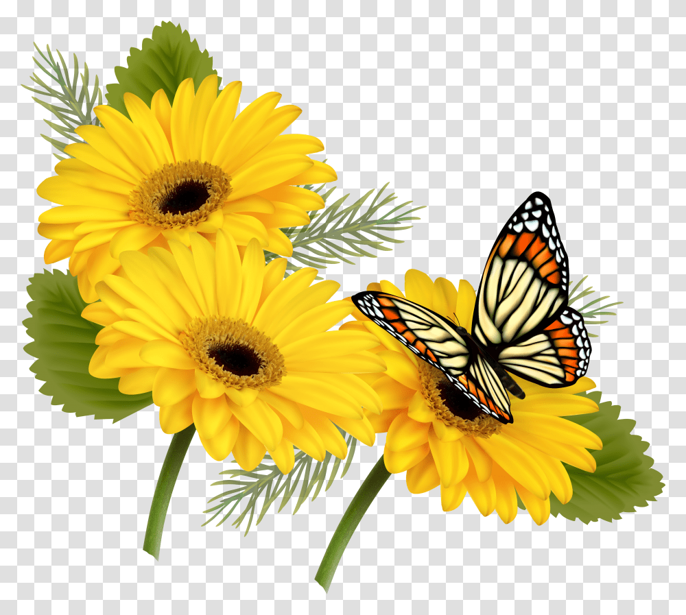 Yellow Gerberas With Butterfly Clipart Butterfly On Flowers Transparent Png