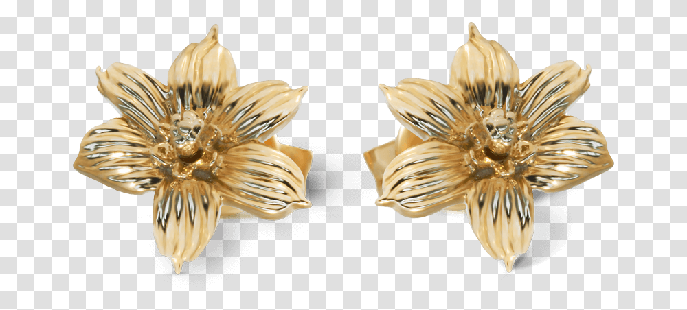 Yellow Gold Bermudiana Flower Earrings Earrings, Jewelry, Accessories, Accessory, Plant Transparent Png
