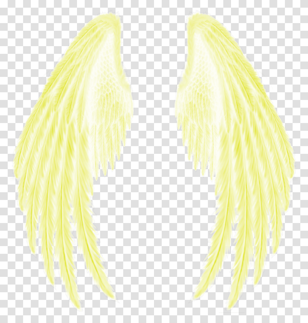Yellow Gold Golden Wings Feather Angel Wings With White Background, Bird, Animal, Hair Transparent Png