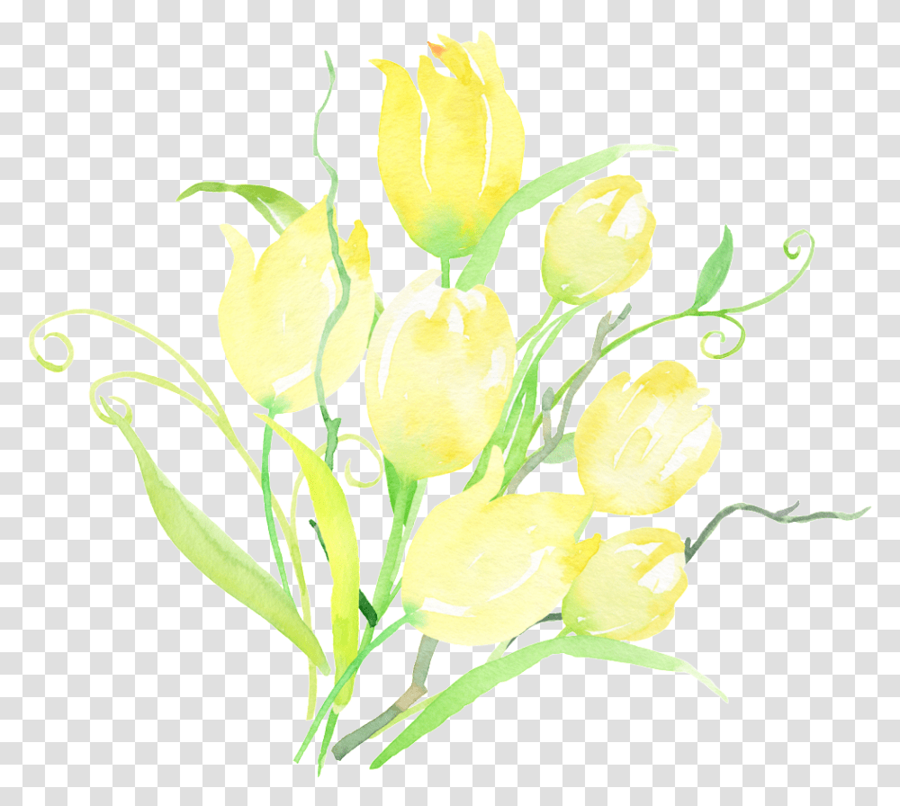 Yellow Gradient Floral Tulip, Plant, Flower, Blossom, Graphics Transparent Png