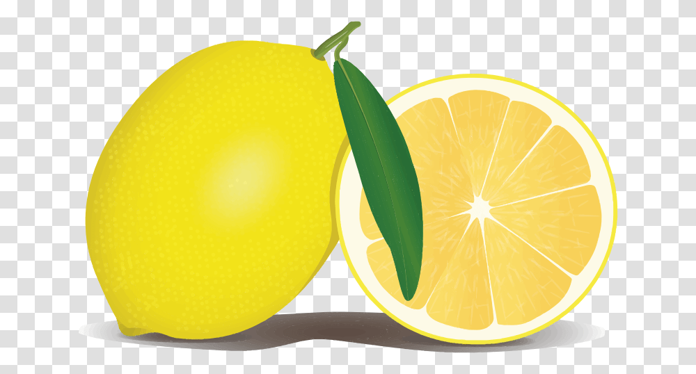Yellow Grapefruit Clipart, Citrus Fruit, Plant, Food, Lemon Transparent Png
