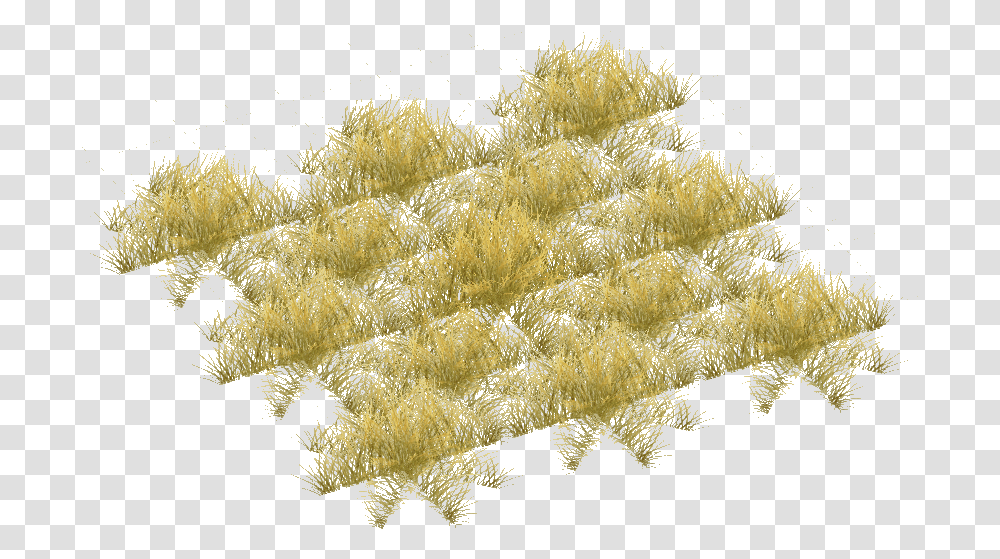 Yellow Grass Savannah Grass, Mold, Plant, Mineral, Crystal Transparent Png