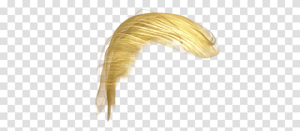 Yellow Hair & Clipart Free Download Ywd Trump Hair, Fungus, Cane, Stick, Ivory Transparent Png