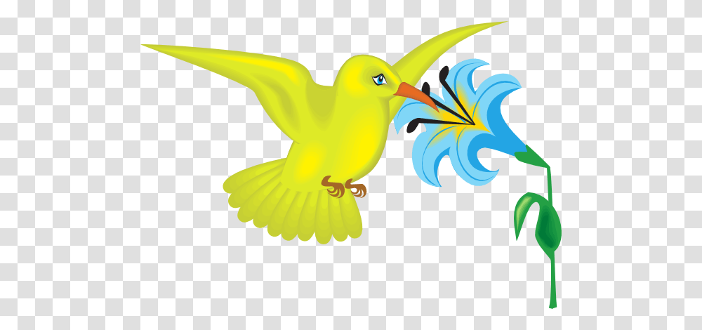 Yellow Hummingbird With Flower Clip Art, Beak, Animal, Kiwi Bird Transparent Png