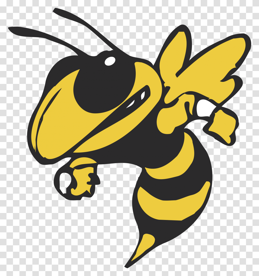Yellow Jacket Logo, Wasp, Bee, Insect, Invertebrate Transparent Png