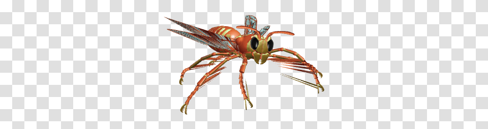 Yellow Jacket Wasp Insect, Bee, Invertebrate, Animal, Hornet Transparent Png
