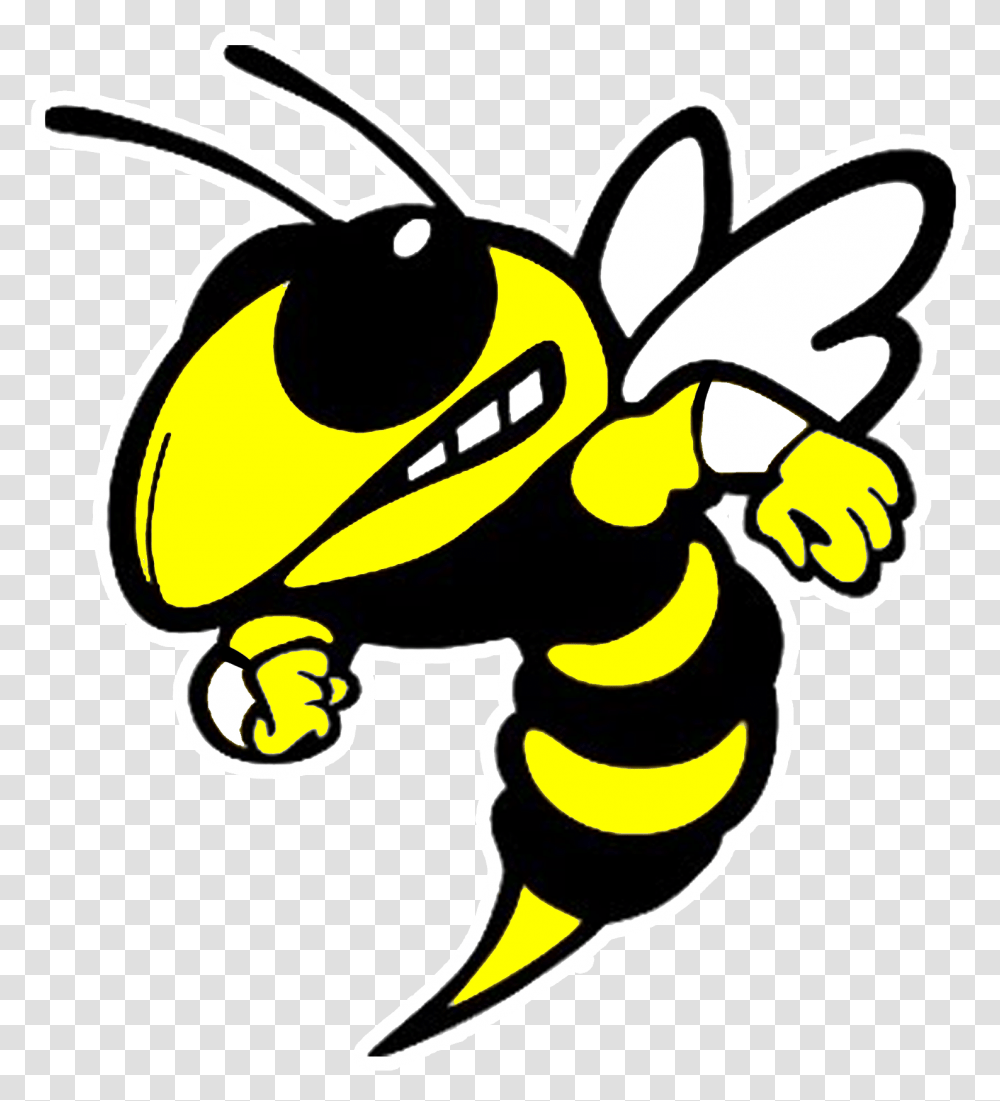 Yellow Jackets Spiritwear Forest Hills High School Yellow Jackets, Wasp, Bee, Insect, Invertebrate Transparent Png