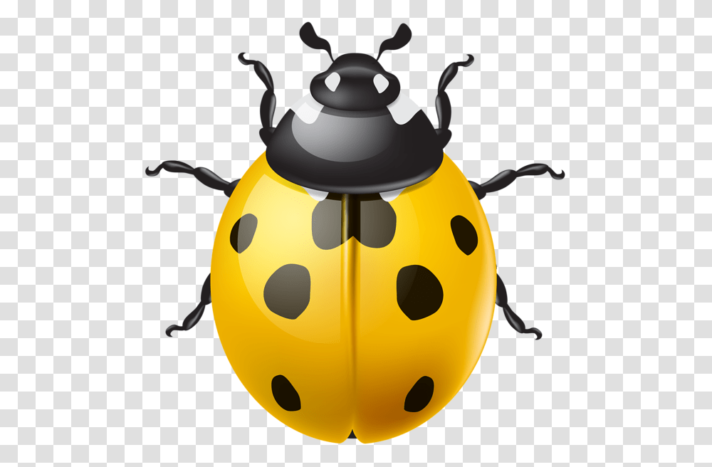 Yellow Ladybird Clip, Animal, Insect, Invertebrate, Food Transparent Png