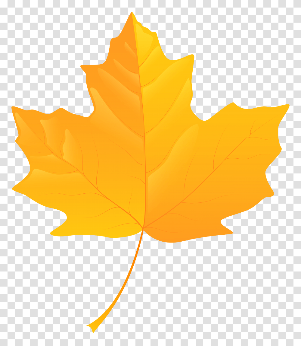 Yellow Leaf Clip Art, Plant, Maple Leaf, Tree Transparent Png