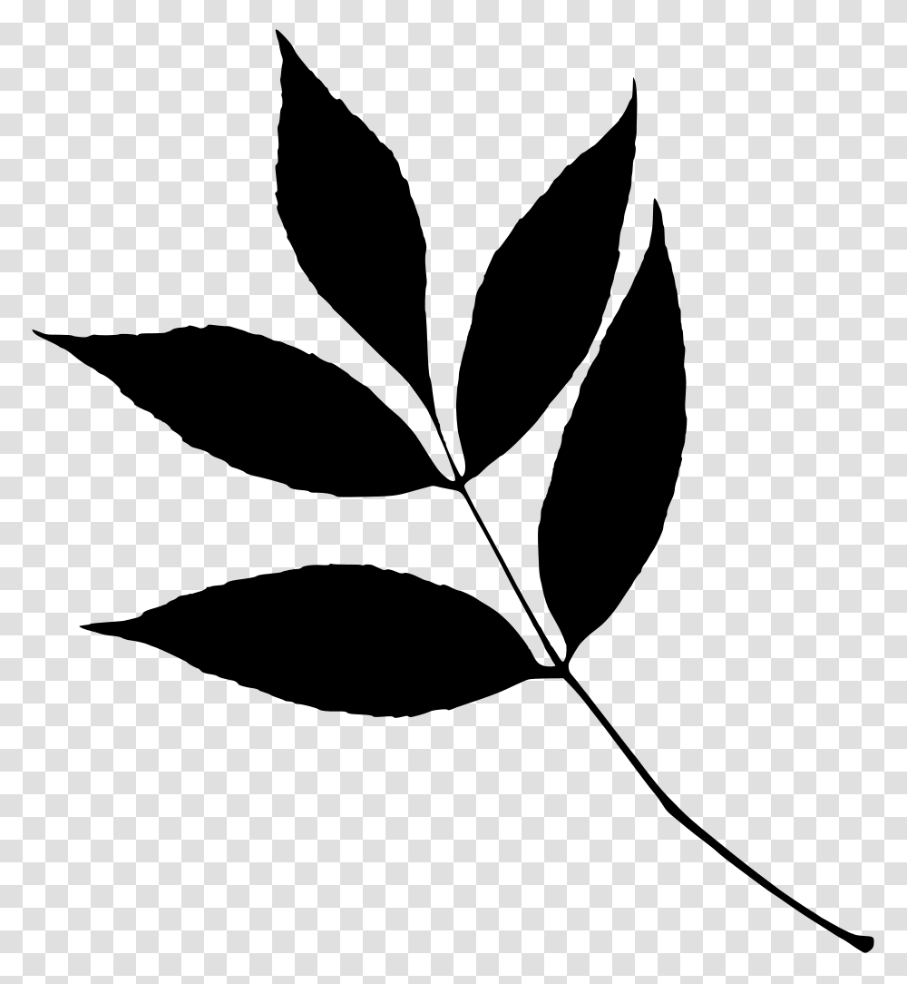 Yellow Leaf, Gray, World Of Warcraft Transparent Png