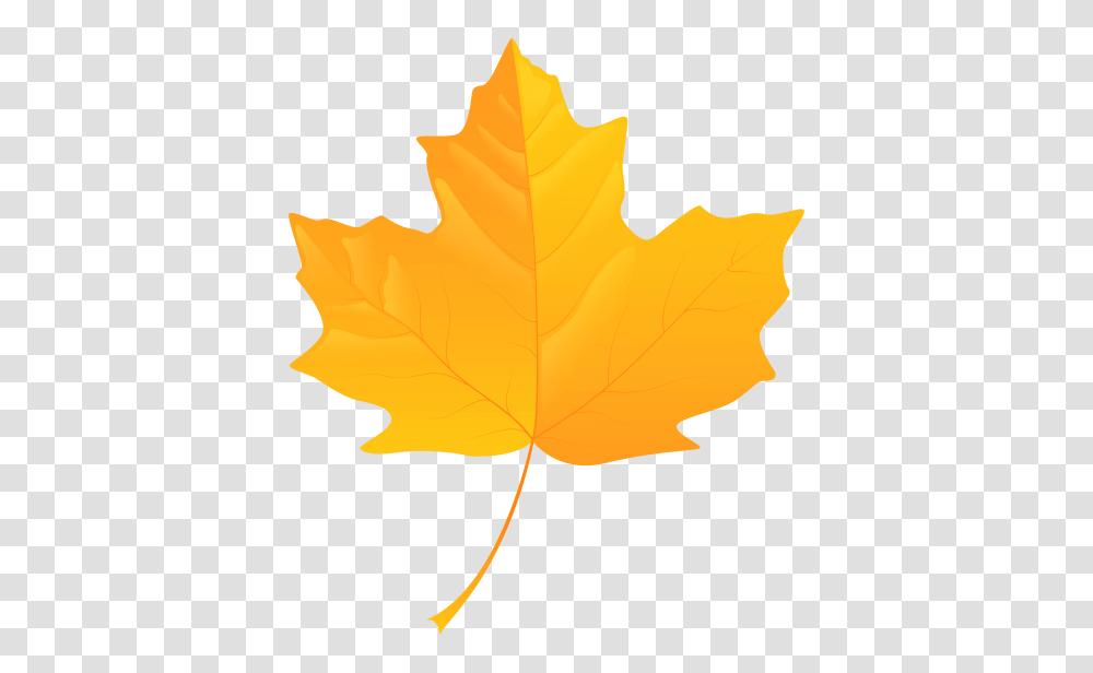 Yellow Leaf, Plant, Maple Leaf, Tree, Person Transparent Png