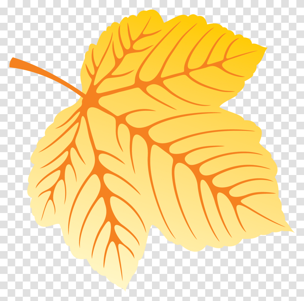 Yellow Leaf, Plant, Tree, Maple Leaf Transparent Png
