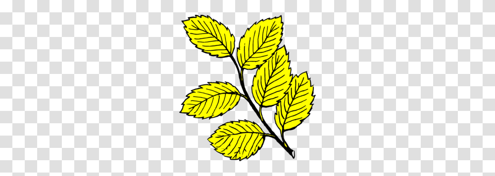 Yellow Leaves Clipart Clip Art Images, Leaf, Plant, Vegetation, Green Transparent Png