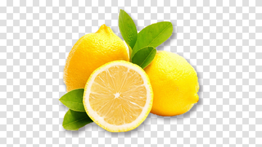 Yellow Lemon Download Yellow Lemon, Plant, Citrus Fruit, Food, Orange Transparent Png