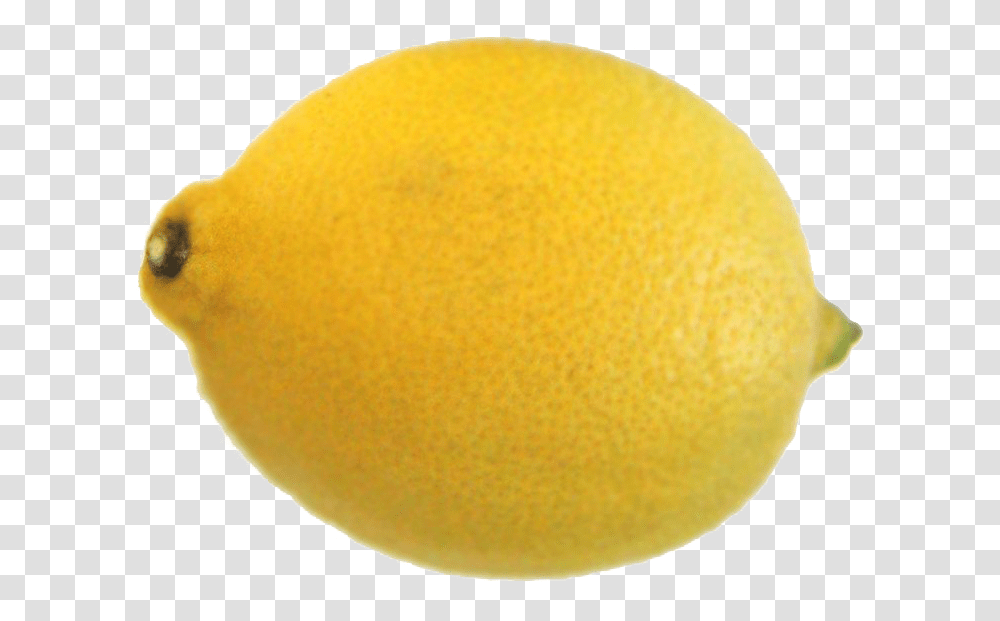 Yellow Lemon Free Background Lemon, Tennis Ball, Sport, Sports, Citrus Fruit Transparent Png