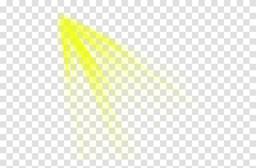 Yellow Light Effect Pics Yellow Light Beam, Animal, Bird, Vulture Transparent Png