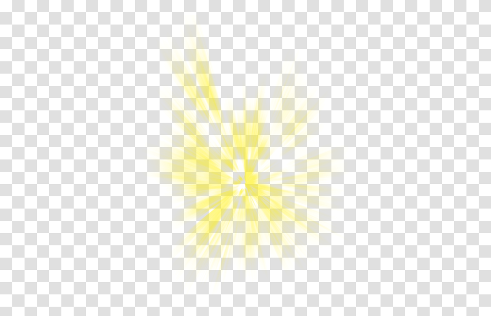 Yellow Light Effect Sunlight Beam Macro Photography, Plant, Flower, Blossom, Dandelion Transparent Png